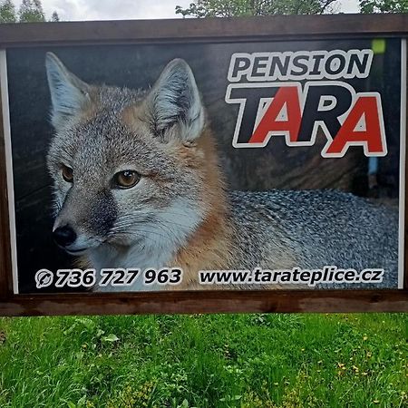Teplice nad Metují Pension Tara מראה חיצוני תמונה