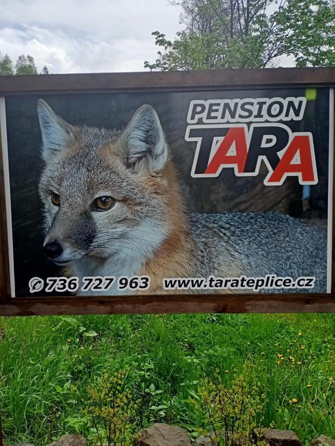 Teplice nad Metují Pension Tara מראה חיצוני תמונה